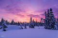 Lapland Sunset