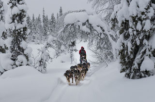 Snow Tunnel