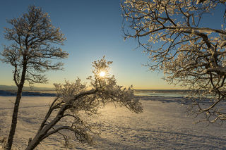 Sun Through Frost print