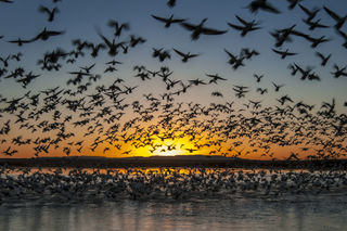 Sunrise eruption print