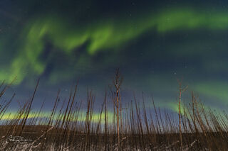 Aurora Adventure in the Alaskan Interior
