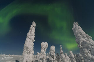 Snowy Trees and Aurora print