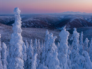 Dalton Highway, Drone, Enchanted Forest, aerial photography, landscapes, winter