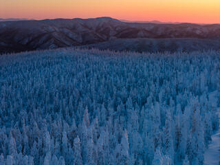 Dalton Highway, Drone, Enchanted Forest, aerial photography, landscapes, winter
