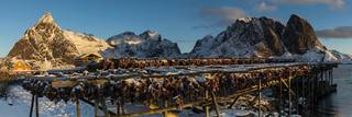 Lofoten Fishracks print