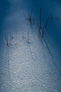 Shadow Abstracts