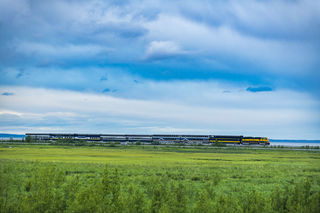 Coastal Train print