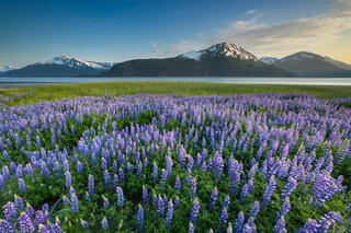 Alaska, Turnagain Arm, evening, summer, summer solstice