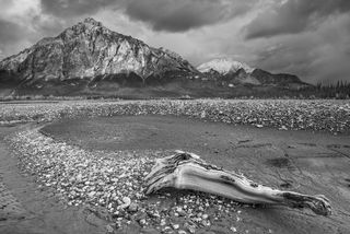 Gravel Decor print