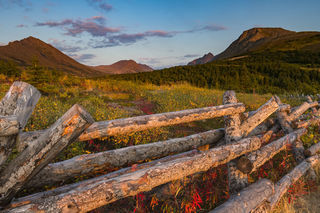Fence View print