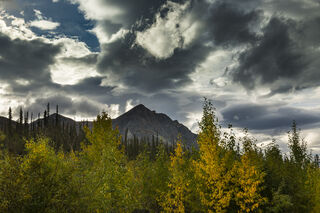 Contrasting Skies print