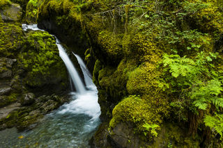 Falls and Forest print