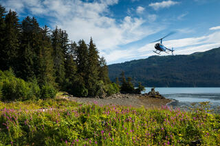Tutka Landing