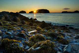 Tidal Sunset