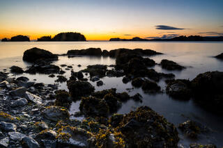 Twilight Tides