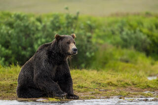 Taking a Rest