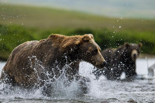 The Chase