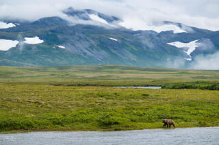 Moving Through the Land
