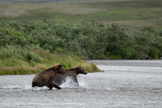 Dual Chase