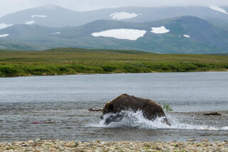 Lunging Landscape
