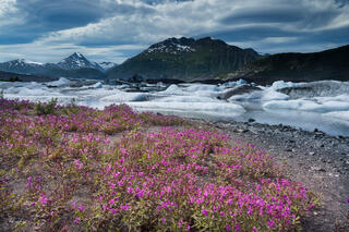 Pink Beach