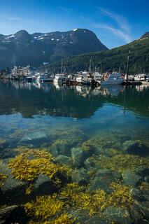 Tidal Harbor