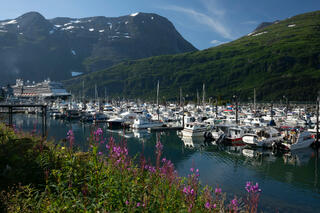 Whittier Harbor