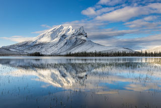 Snowy Sukakpak print