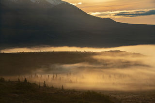 Sunrise and Fog print