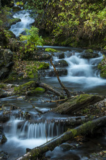 McHugh Falls print