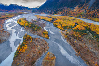 Autumn Knik print