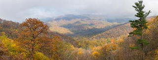 Autumn Pano