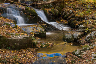 Falls, Leaves and Reflections