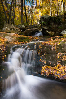Looking Up Falls
