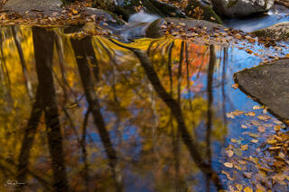 Autumn Reflection