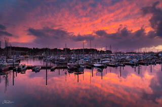 Harbor Sunset