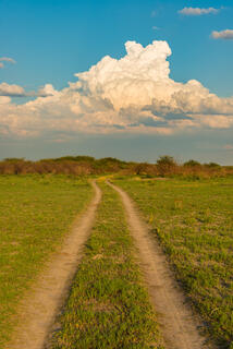 Road Across the Plains