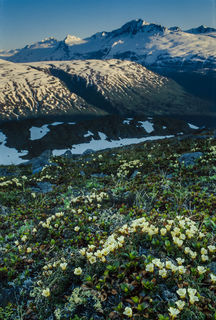 Thompson Pass Summer print