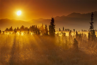 Morning Rays print