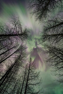 aurora, aurora borealis, geomagnetic storm, northern lights