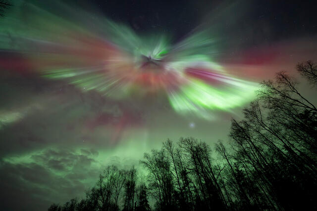 Rainbow Wings print