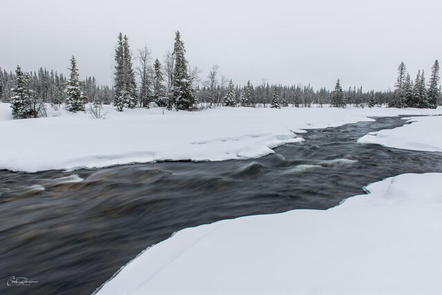Open Water print