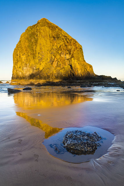 Tidepool and Haystack print