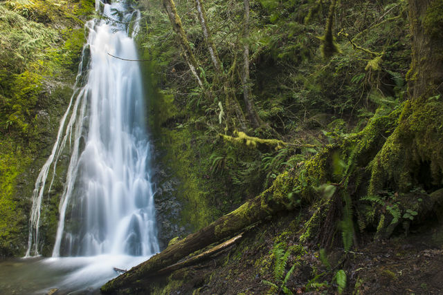 Falls and Forest print