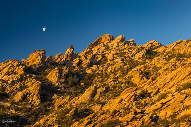  print
