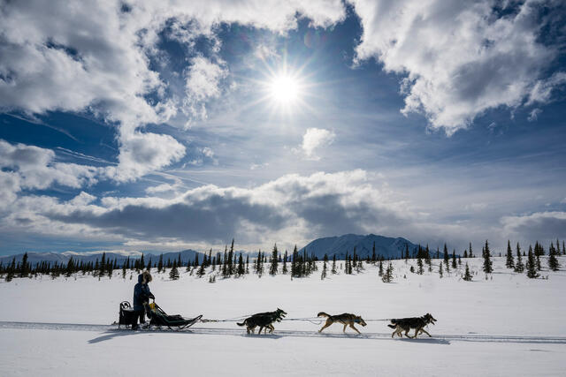 Mushing Alaska print
