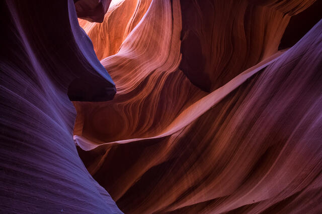 Converging Lines print