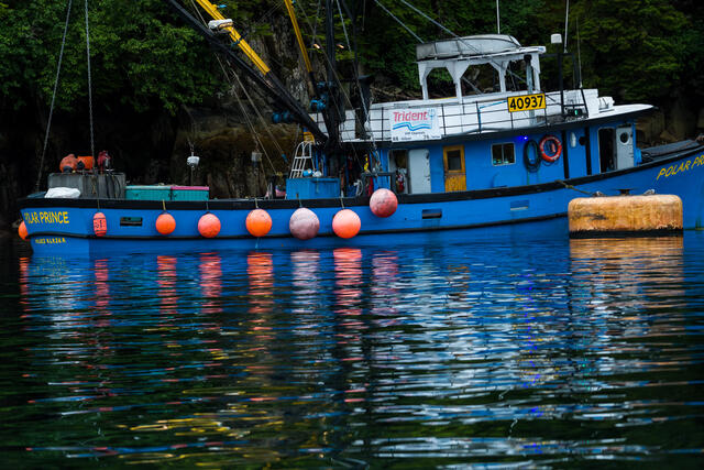 Fishing Reflections print