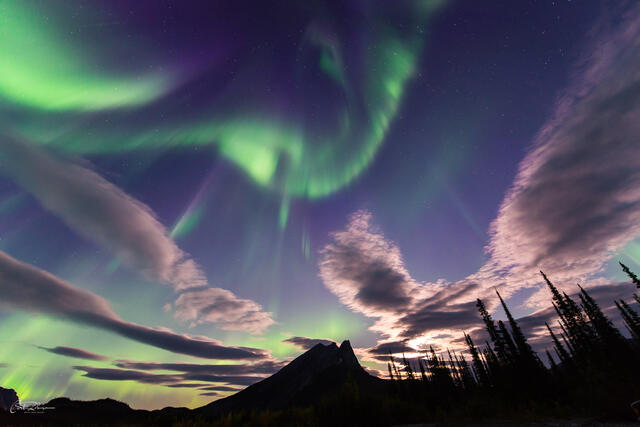 Sky Dance print