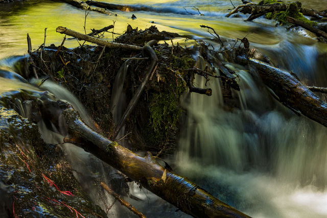 Color and Flow print